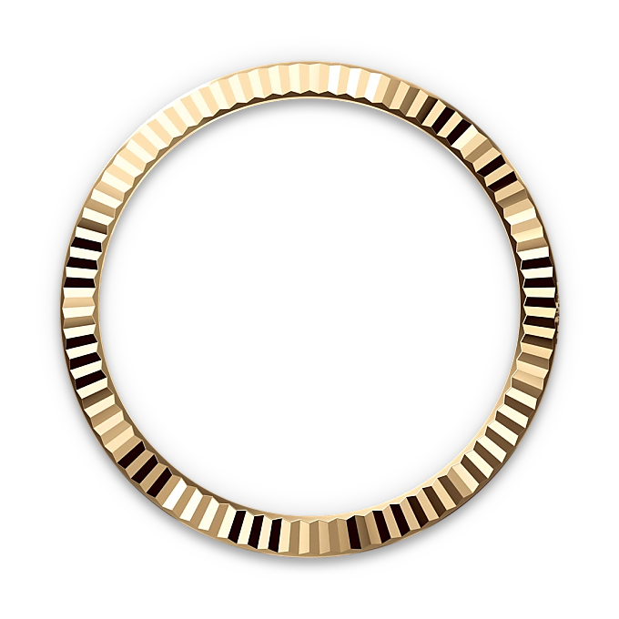 Rolex 
Datejust 41
Oyster, 41 mm, acero Oystersteel y oro amarillo
M126333-0010