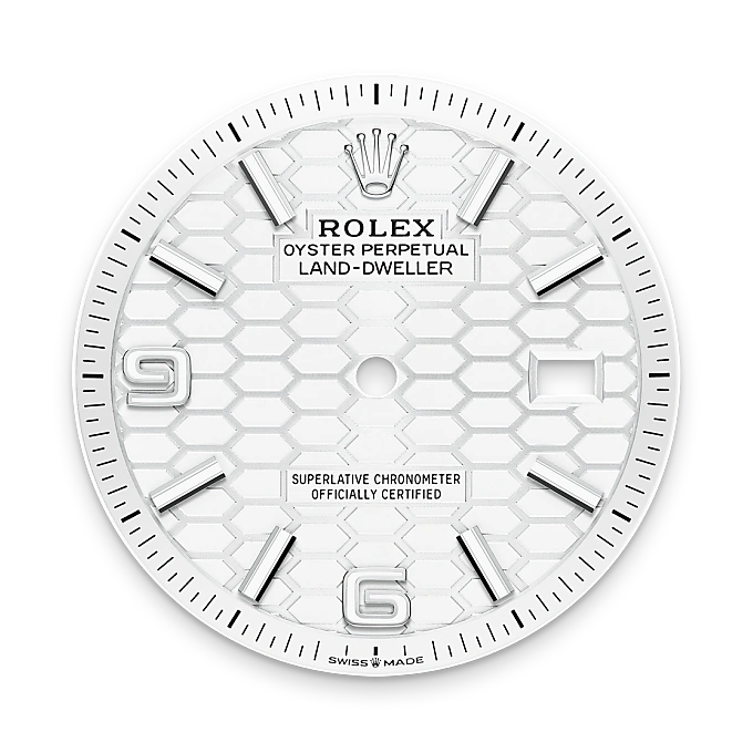 Rolex 
Land-Dweller 36
Oyster, 36 mm, acero Oystersteel y oro blanco
M127234-0001