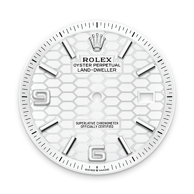 Rolex 
Land-Dweller 40
Oyster, 40 mm, acero Oystersteel y oro blanco
M127334-0001