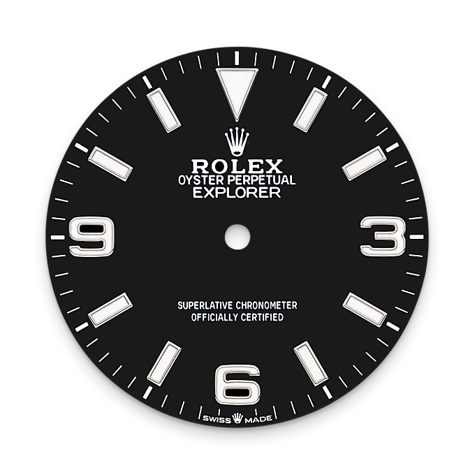 Rolex 
Explorer 40
Oyster, 40 mm, acero Oystersteel
M224270-0001