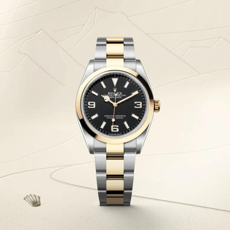 Rolex 
Explorer 36
Oyster, 36 mm, acero Oystersteel y oro amarillo
M124273-0001