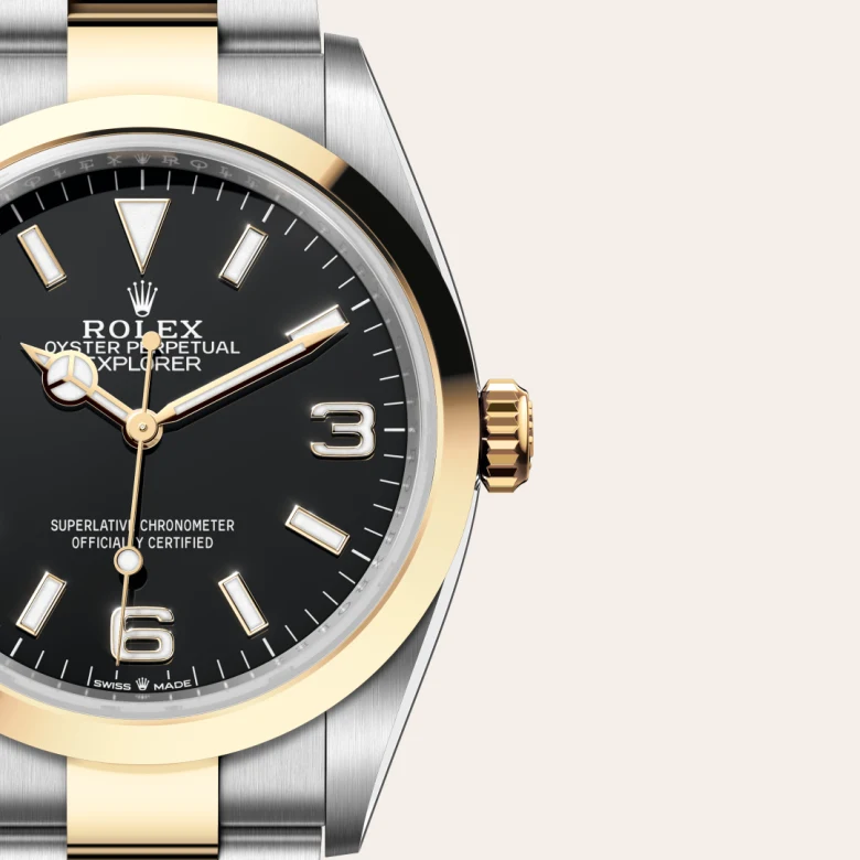 Rolex 
Explorer 36
Oyster, 36 mm, acero Oystersteel y oro amarillo
M124273-0001