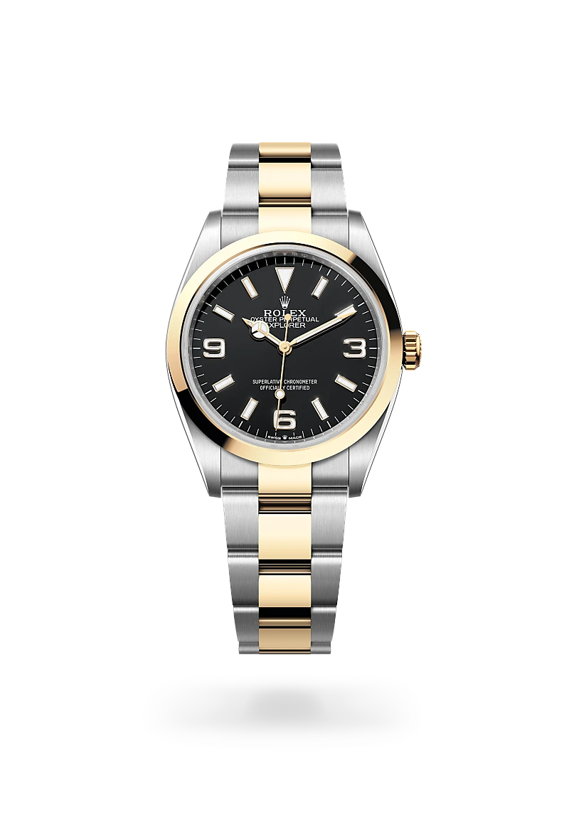 Rolex 
Explorer 36
Oyster, 36 mm, acero Oystersteel y oro amarillo
M124273-0001