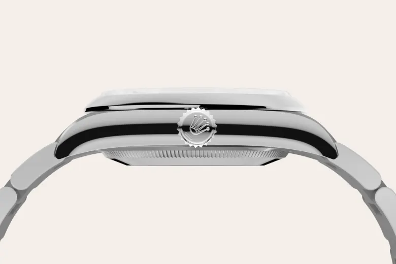 Rolex 
Oyster Perpetual 36
Oyster, 36 mm, acero Oystersteel
M126000-0013
