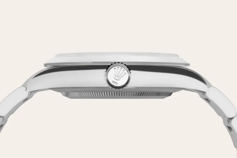 Rolex 
Explorer 40
Oyster, 40 mm, acero Oystersteel
M224270-0001