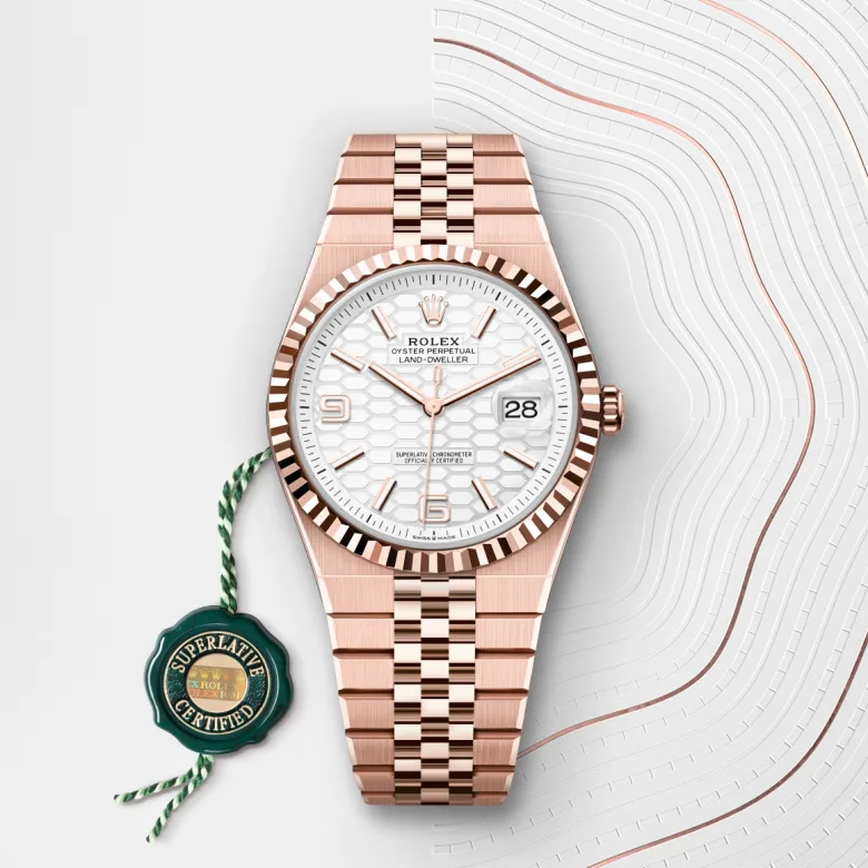 Rolex 
Land-Dweller 40
Oyster, 40 mm, oro Everose
M127335-0001