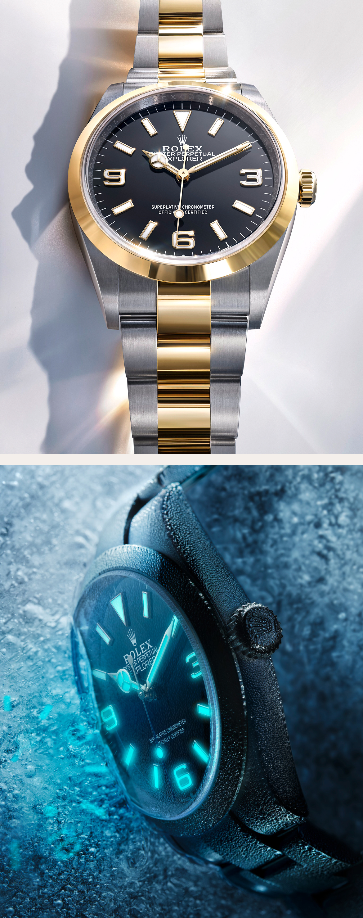 Explorer - Relojes Rolex