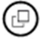 case-icon