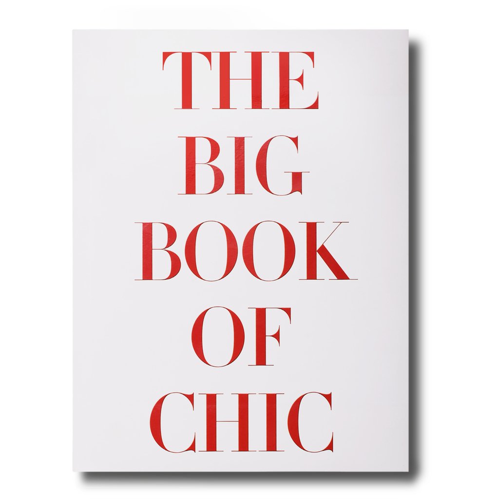 THE BIG BOOK CHIC - Imagen 2