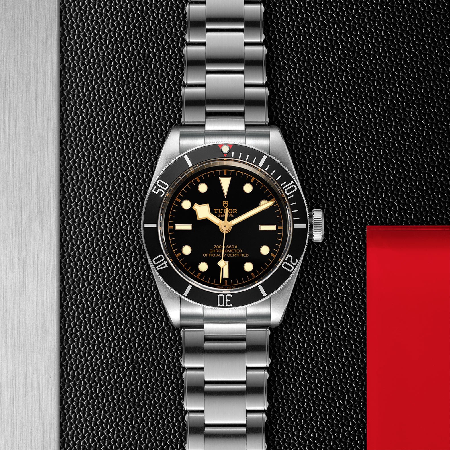 TUDOR Black Bay - Imagen 5
