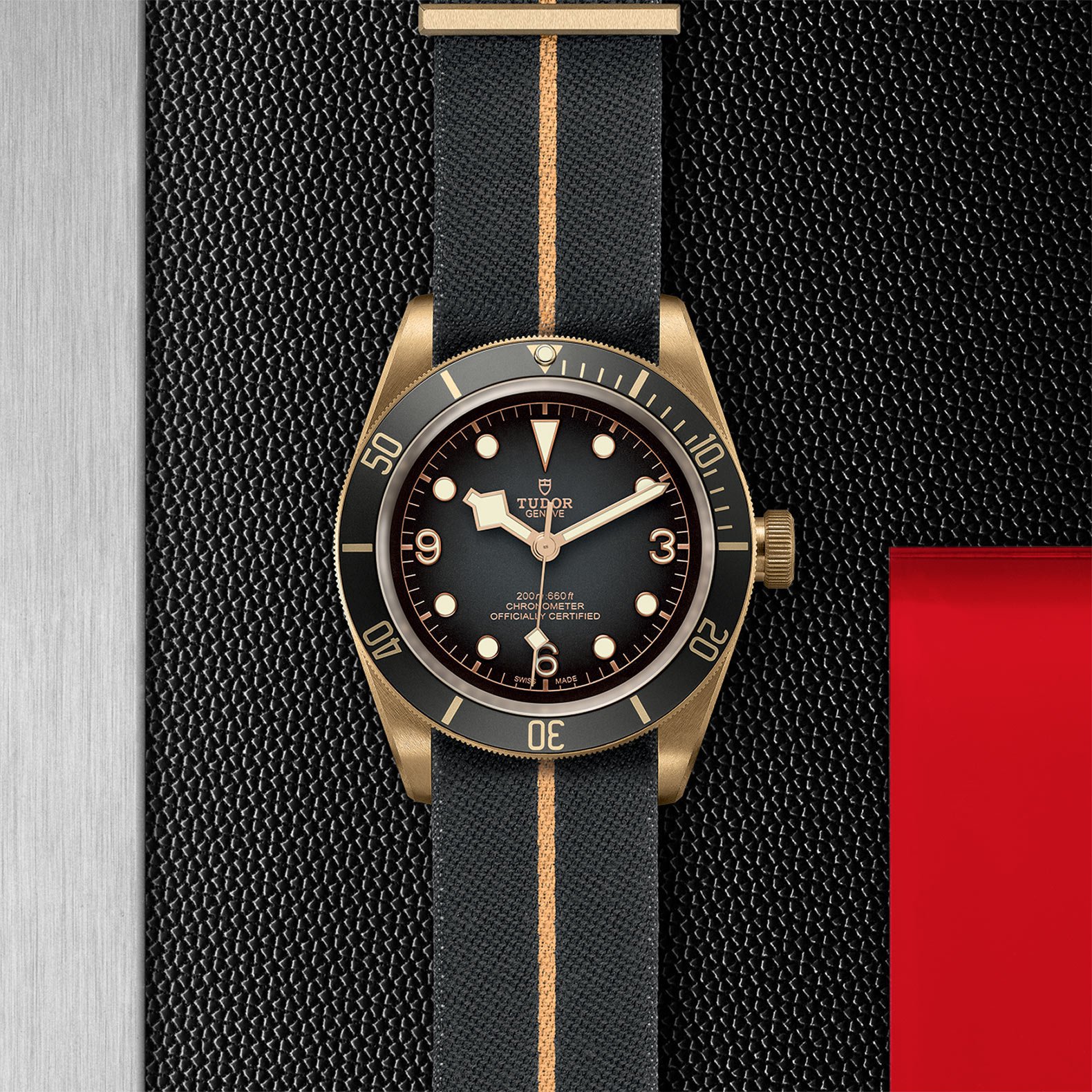 TUDOR Black Bay Bronze - Imagen 5