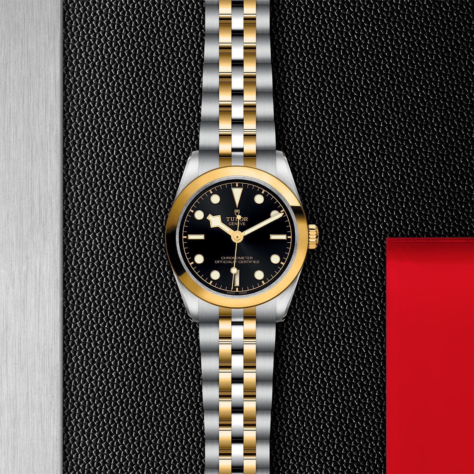 TUDOR Black Bay 31 S&G - Imagen 5