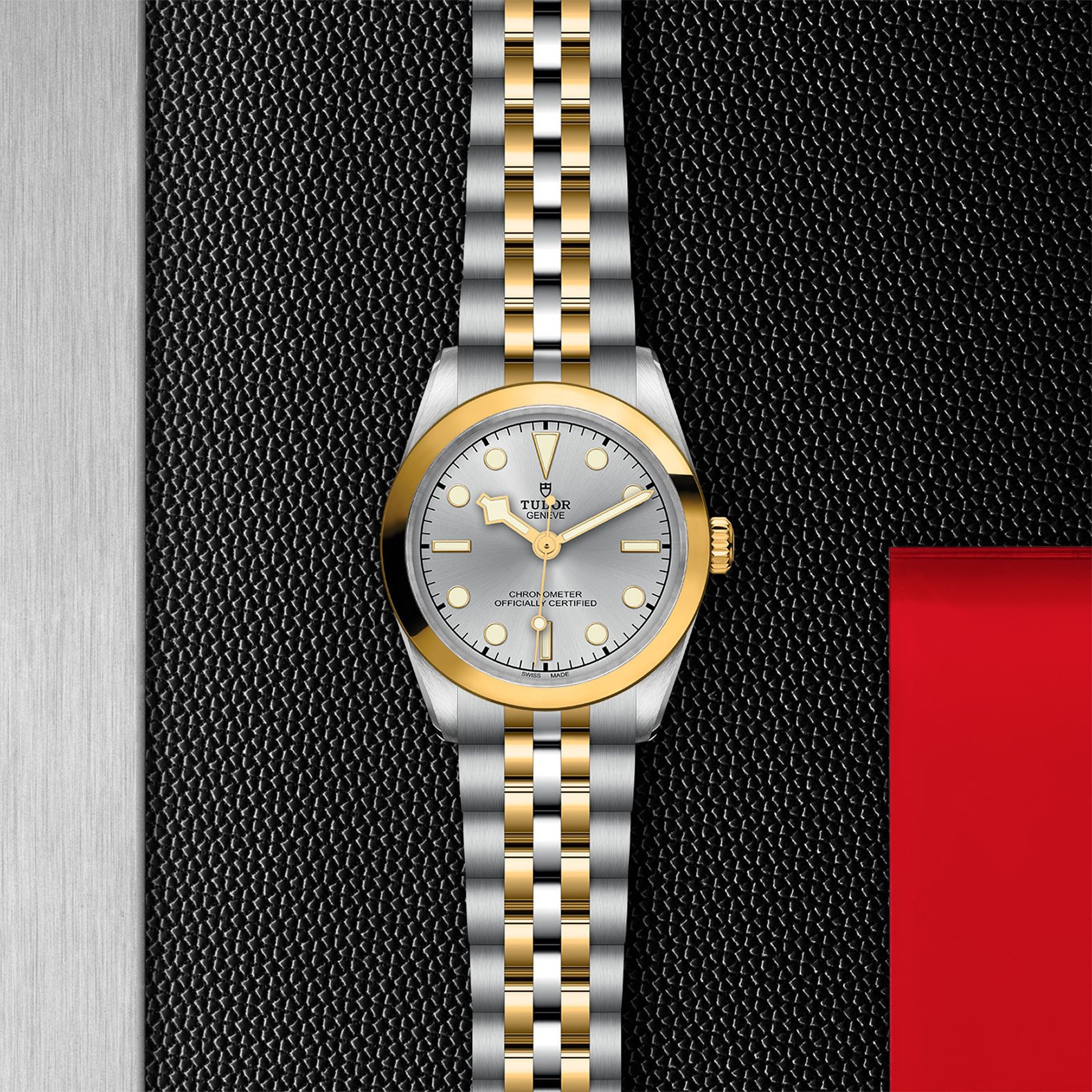TUDOR Black Bay 31 S&G - Imagen 5