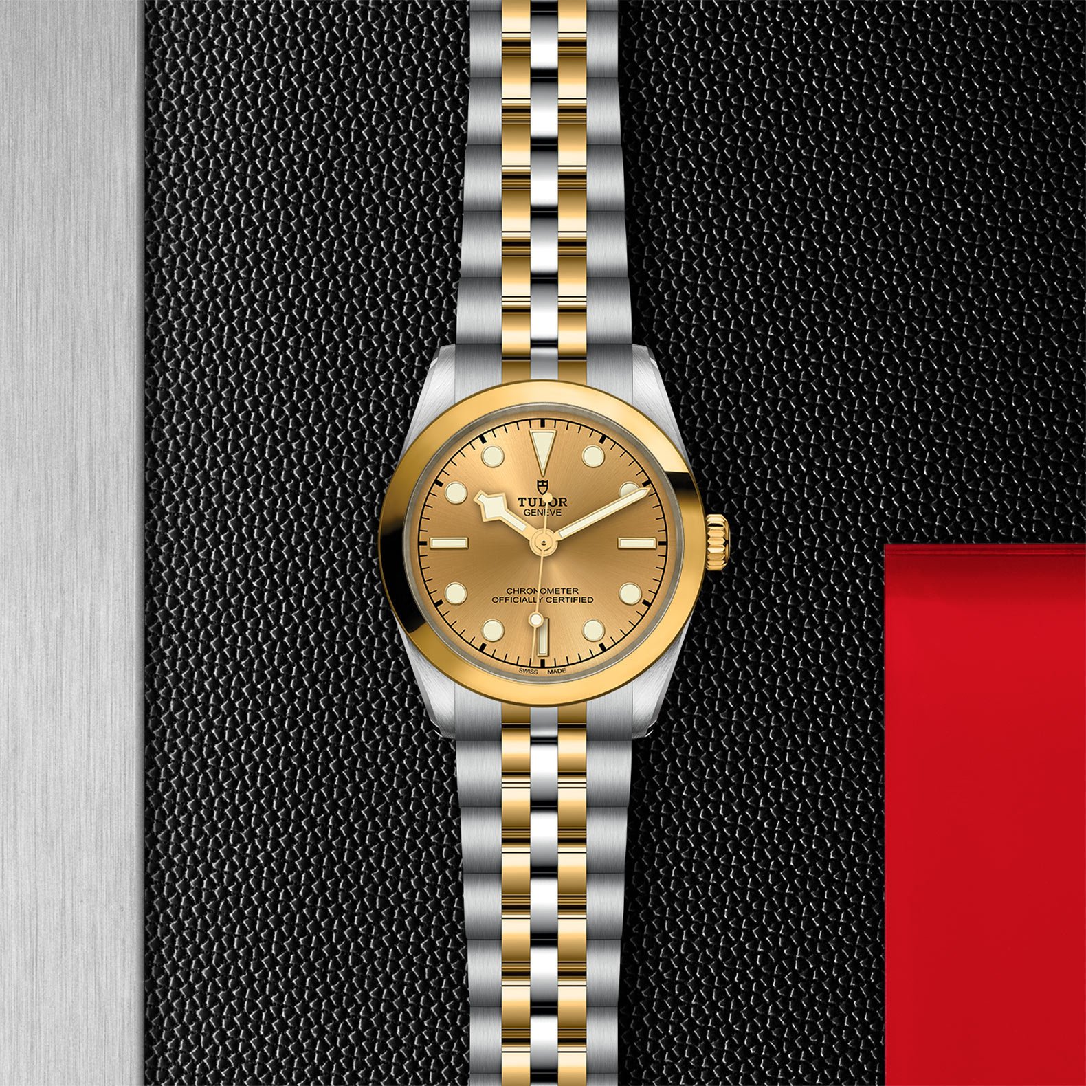TUDOR Black Bay 31 S&G - Imagen 5