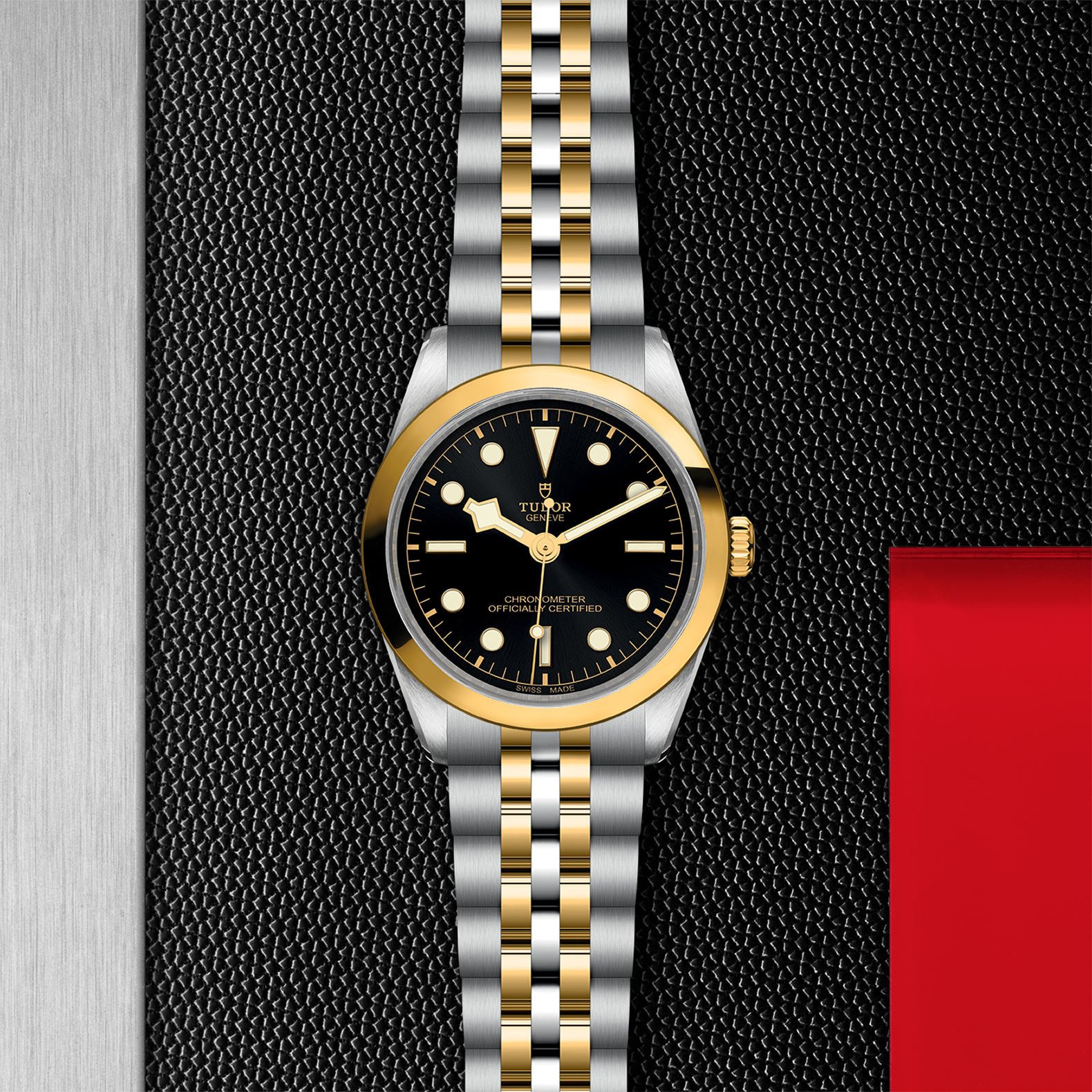 TUDOR Black Bay 36 S&G - Imagen 5