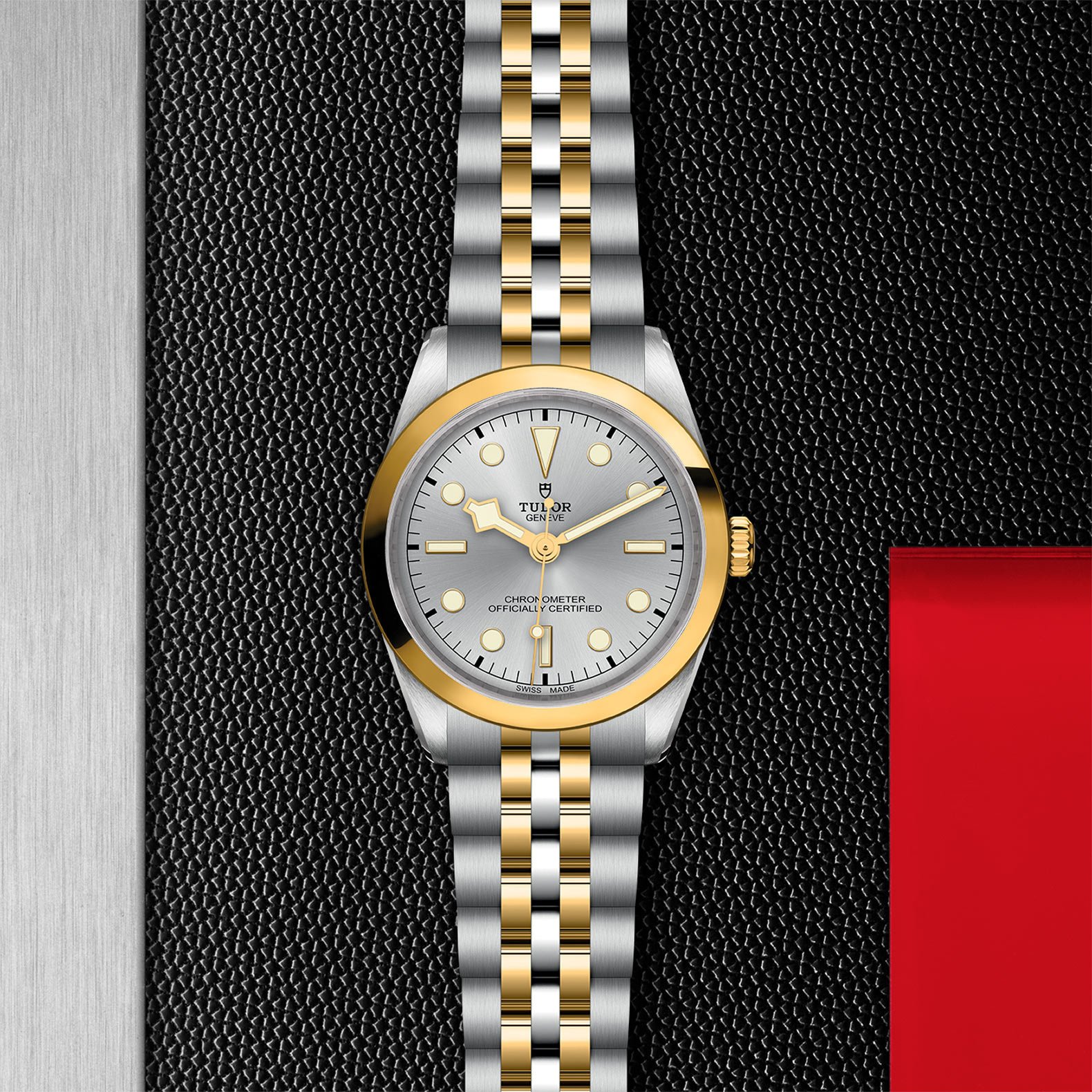TUDOR Black Bay 36 S&G - Imagen 5