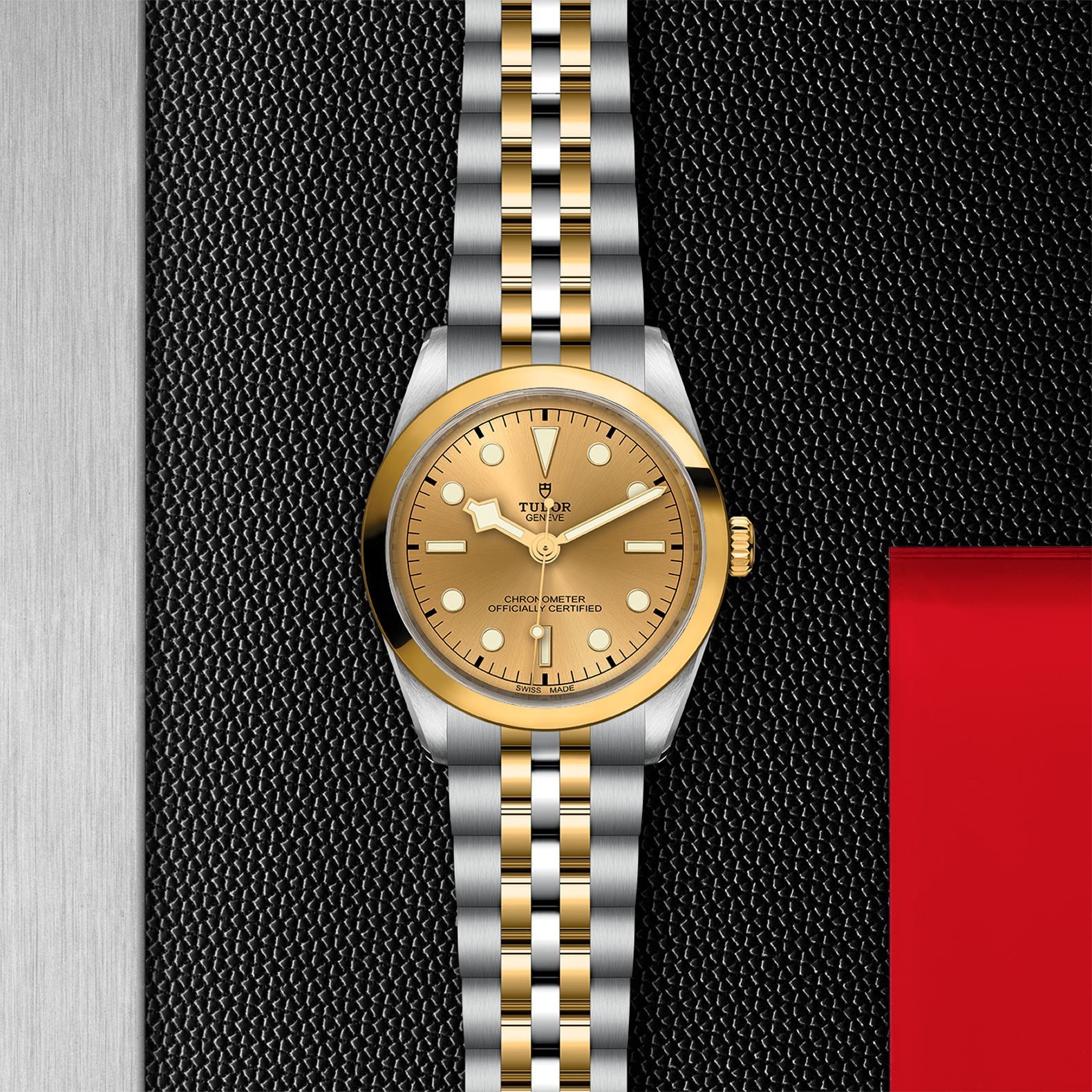 TUDOR Black Bay 36 S&G - Imagen 5