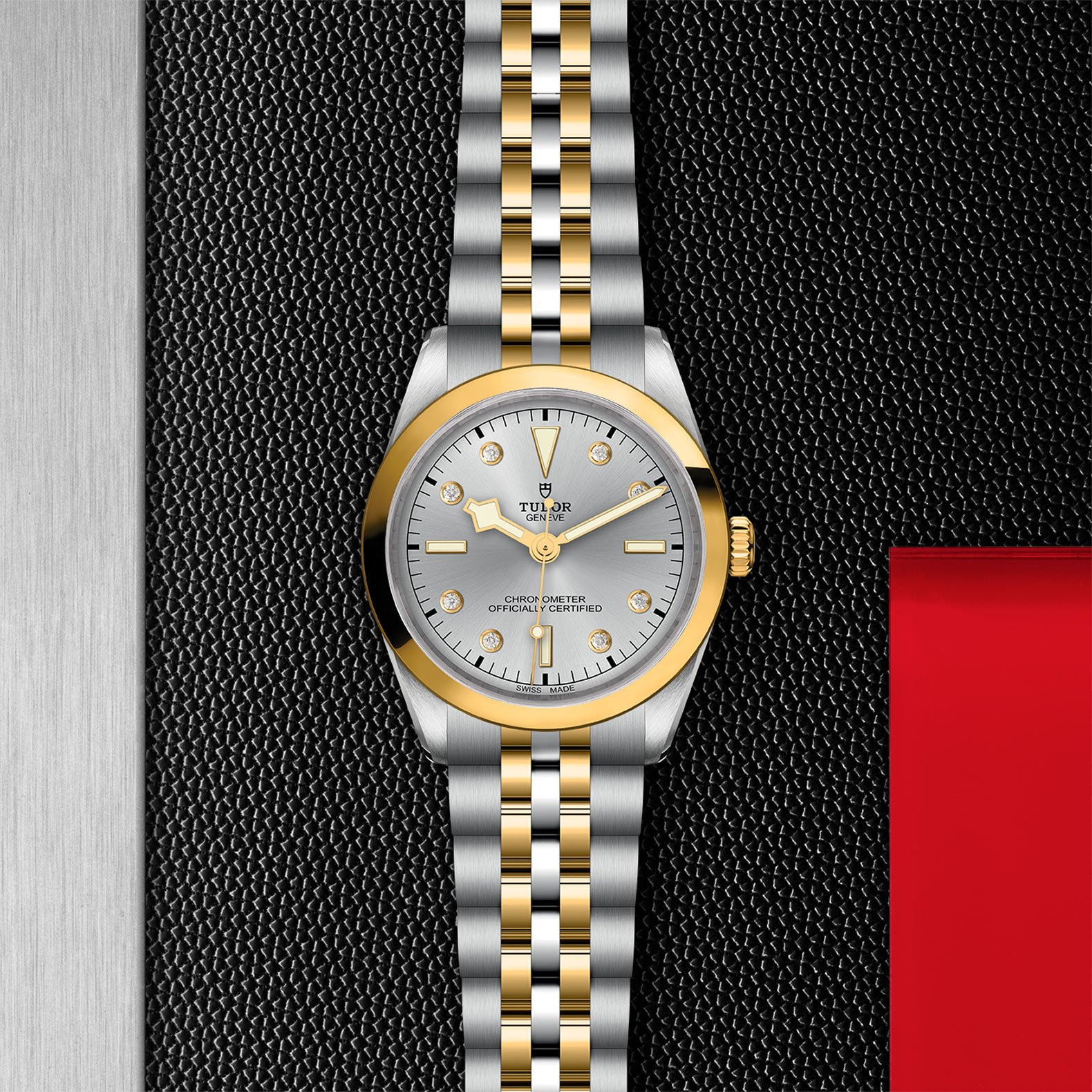 TUDOR Black Bay 36 S&G - Imagen 5