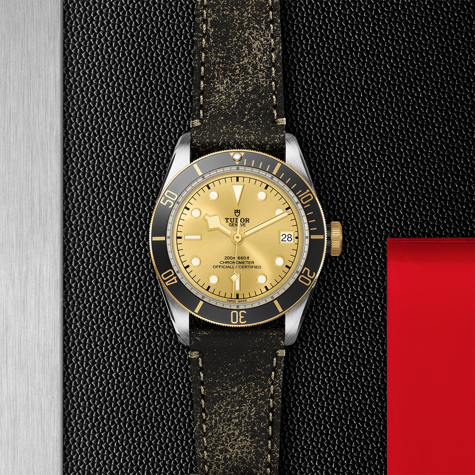 TUDOR Black Bay S&G - Imagen 5