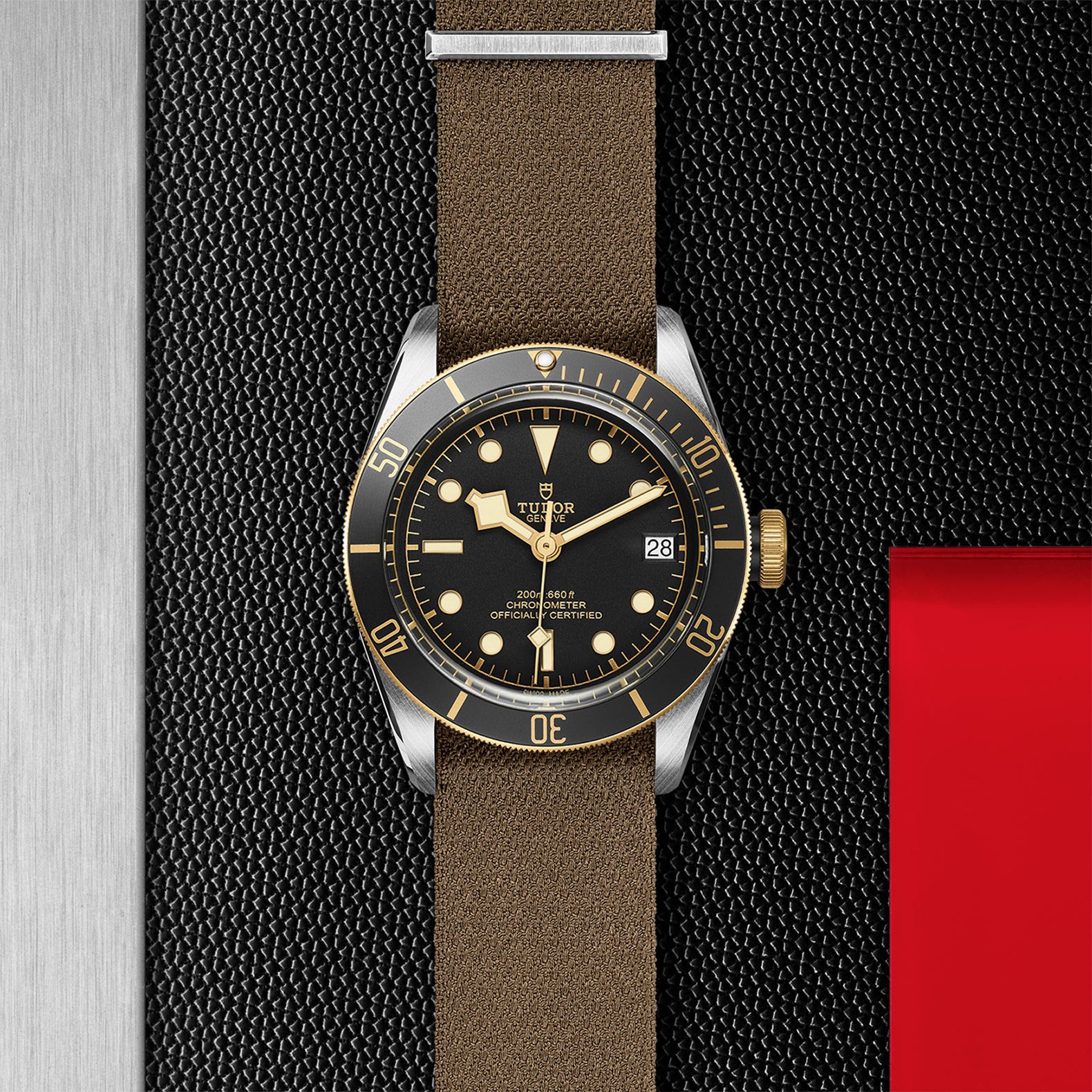 TUDOR Black Bay S&G - Imagen 5