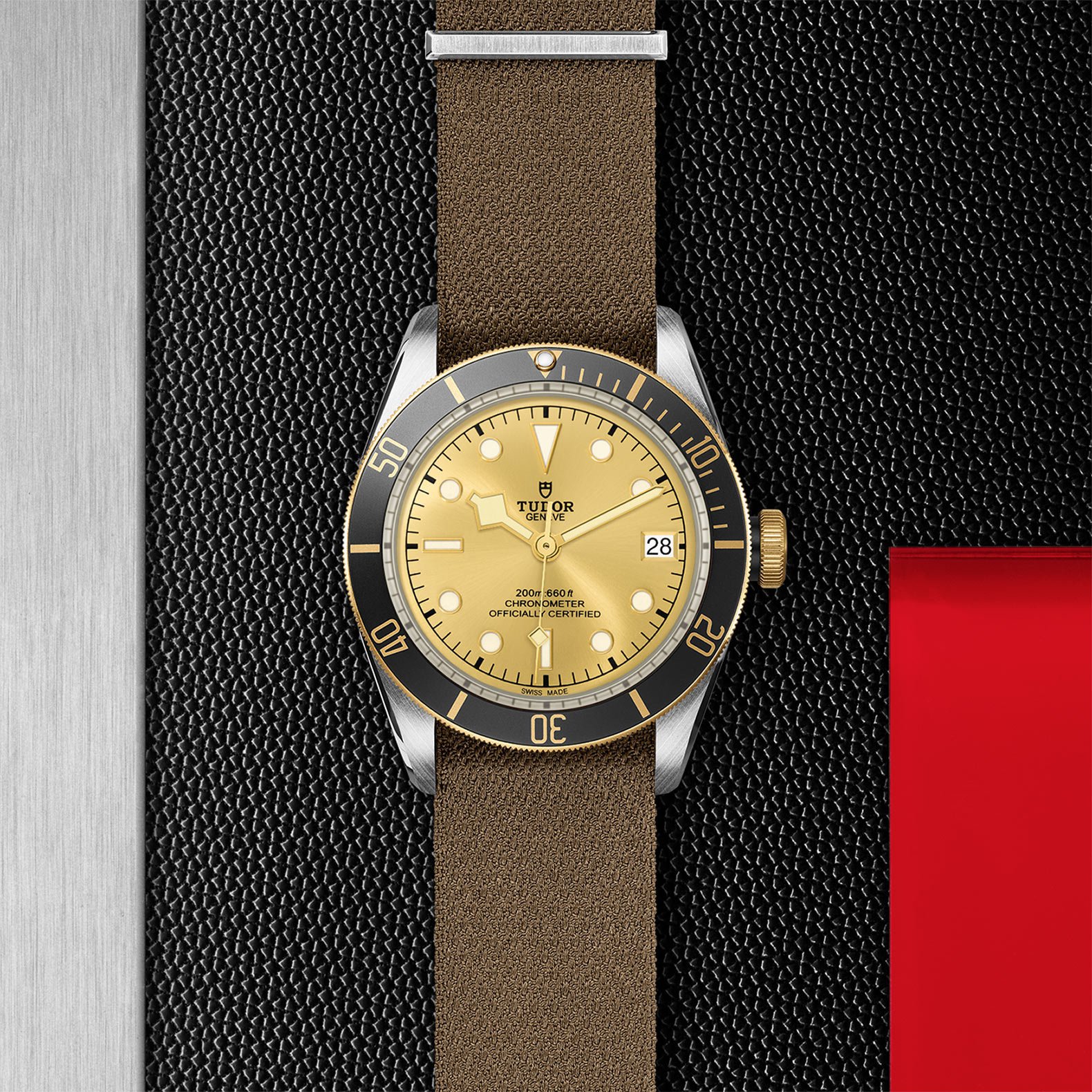 TUDOR Black Bay S&G - Imagen 5