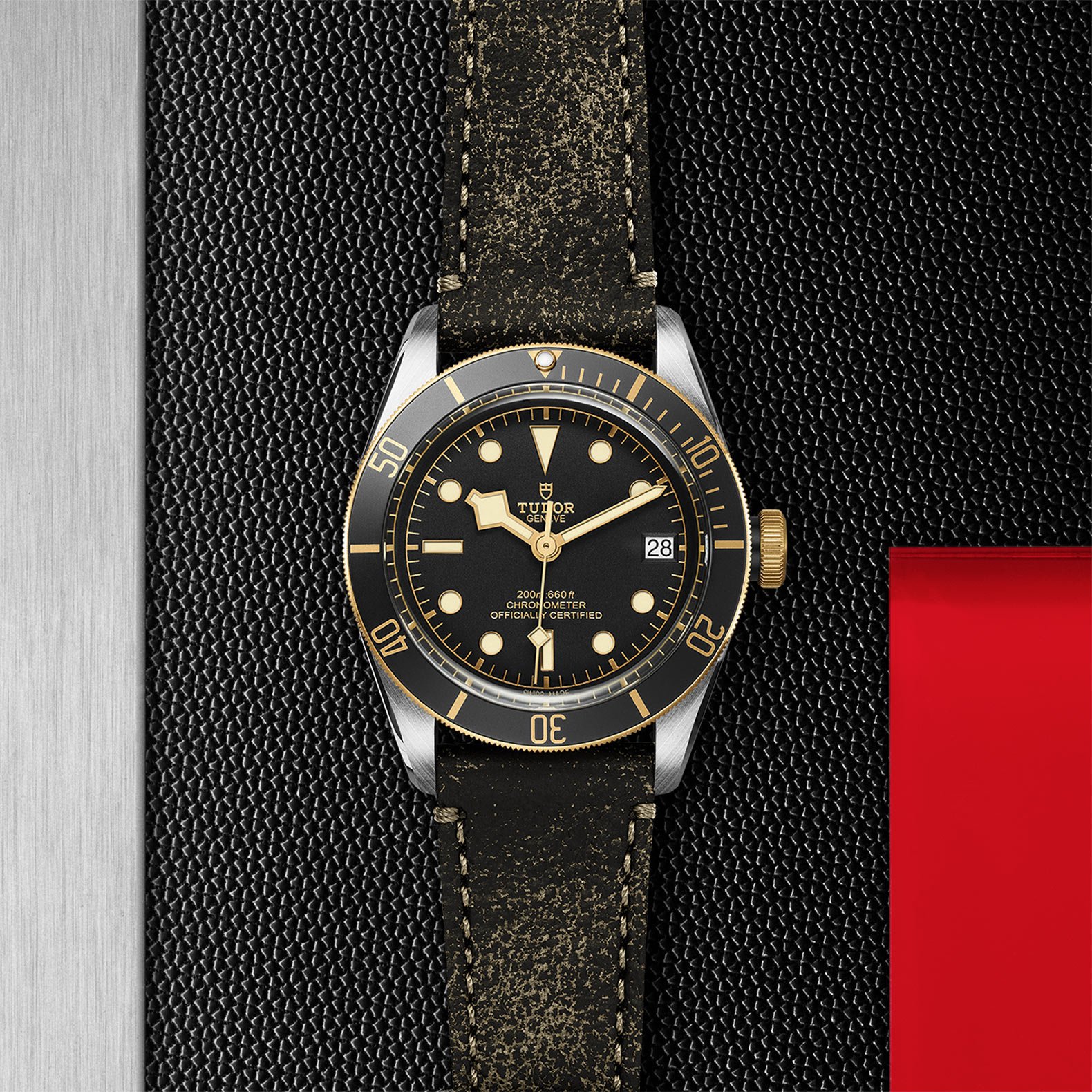 TUDOR Black Bay S&G - Imagen 5