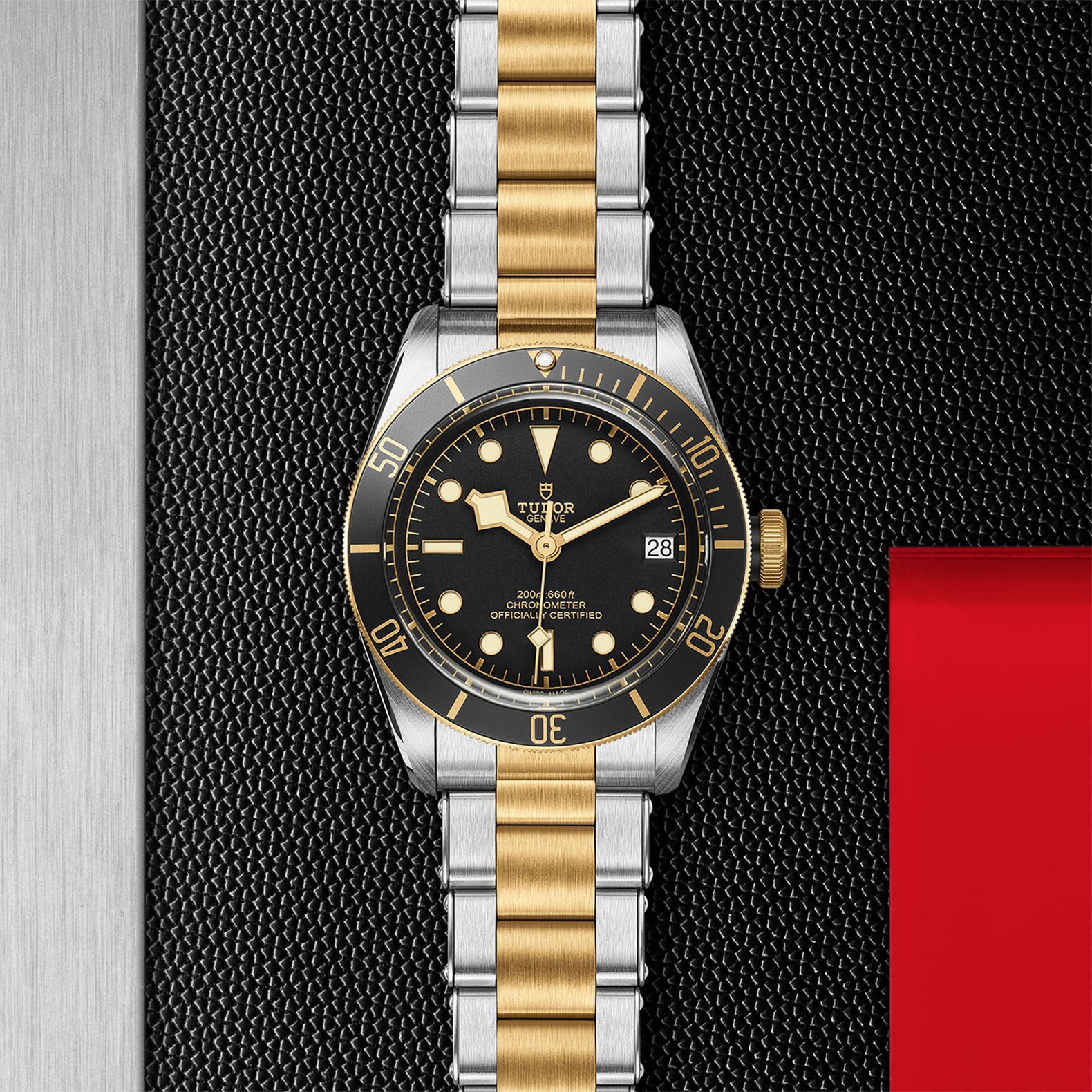 TUDOR Black Bay S&G - Imagen 5