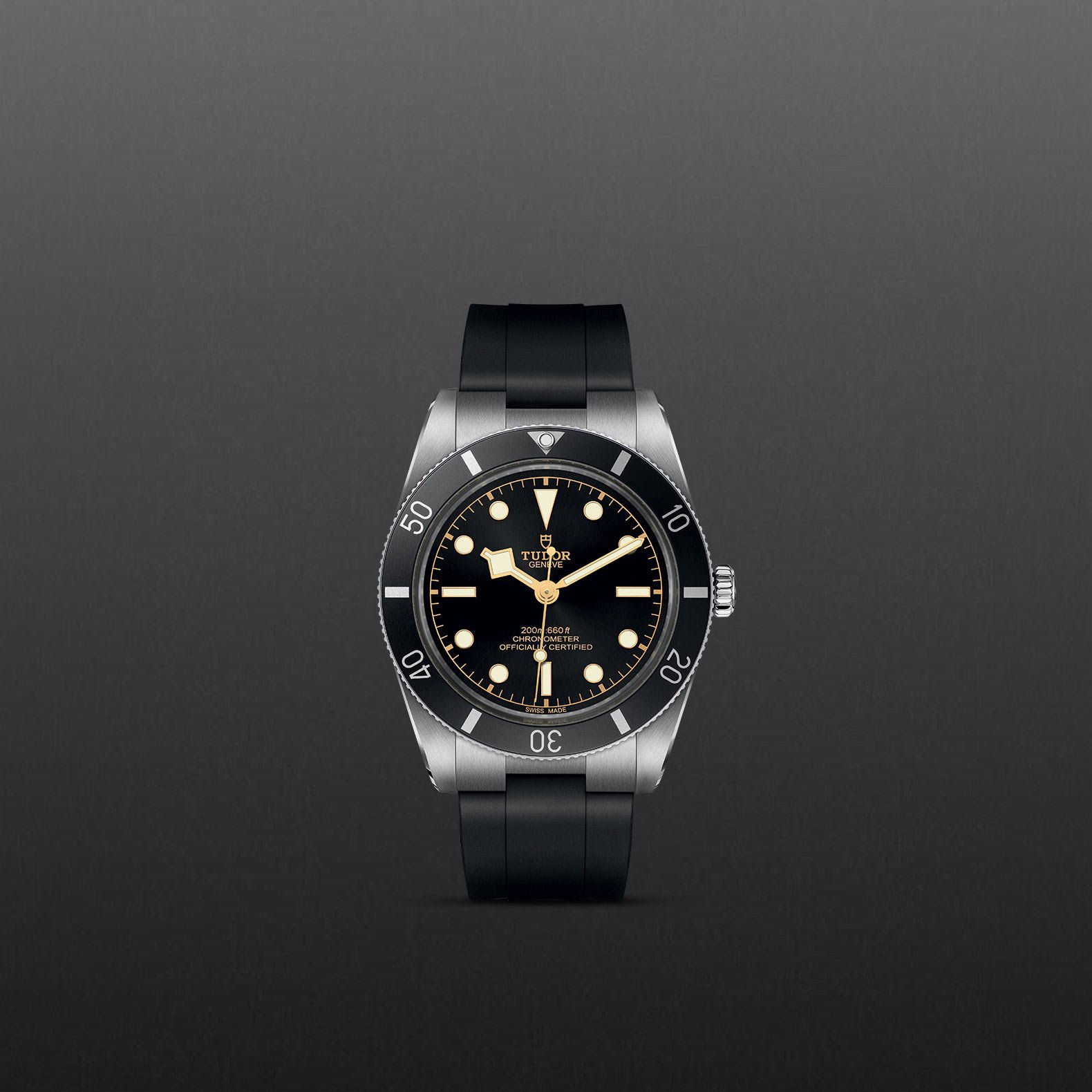 TUDOR Black Bay 54 - Imagen 3