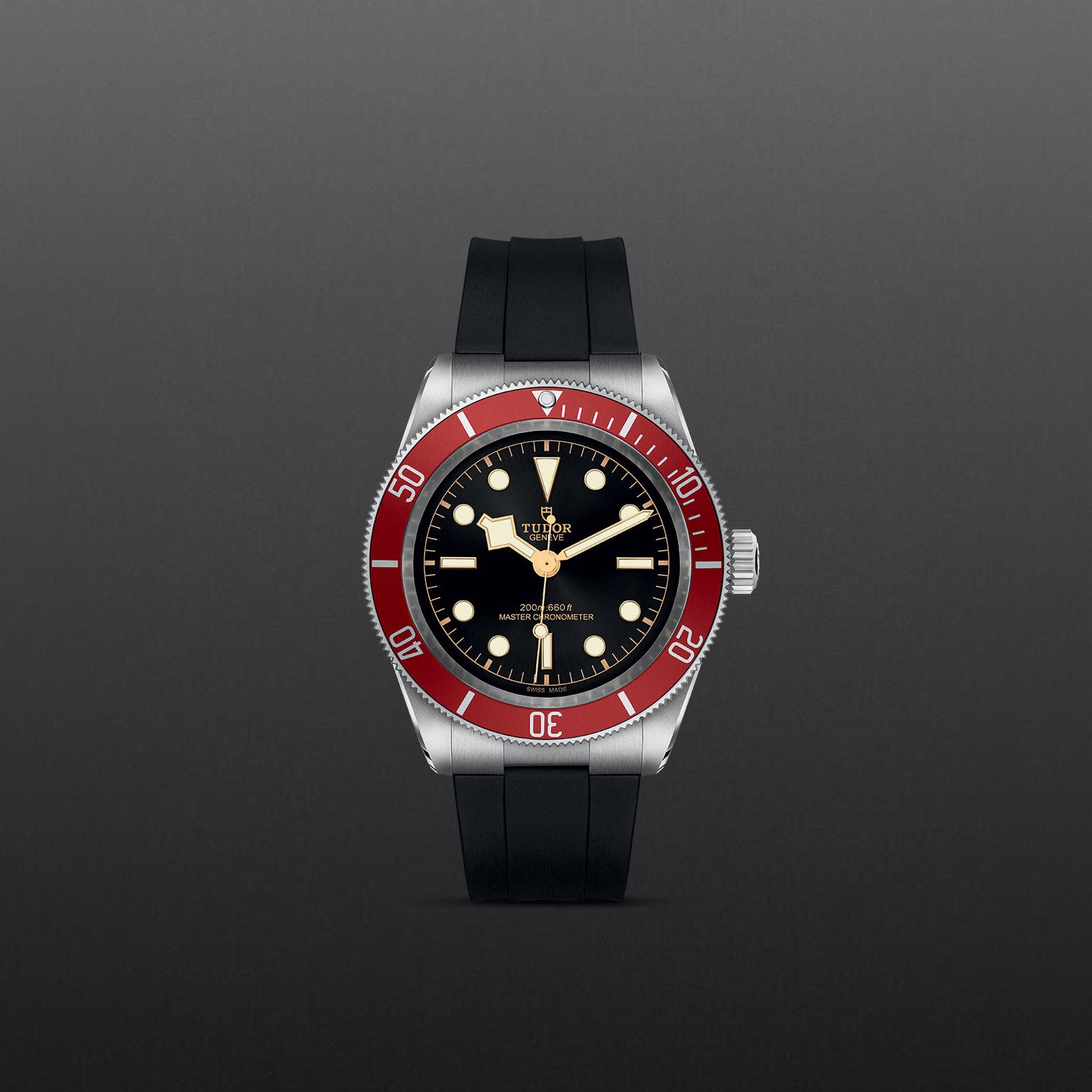 TUDOR Black Bay - Imagen 3