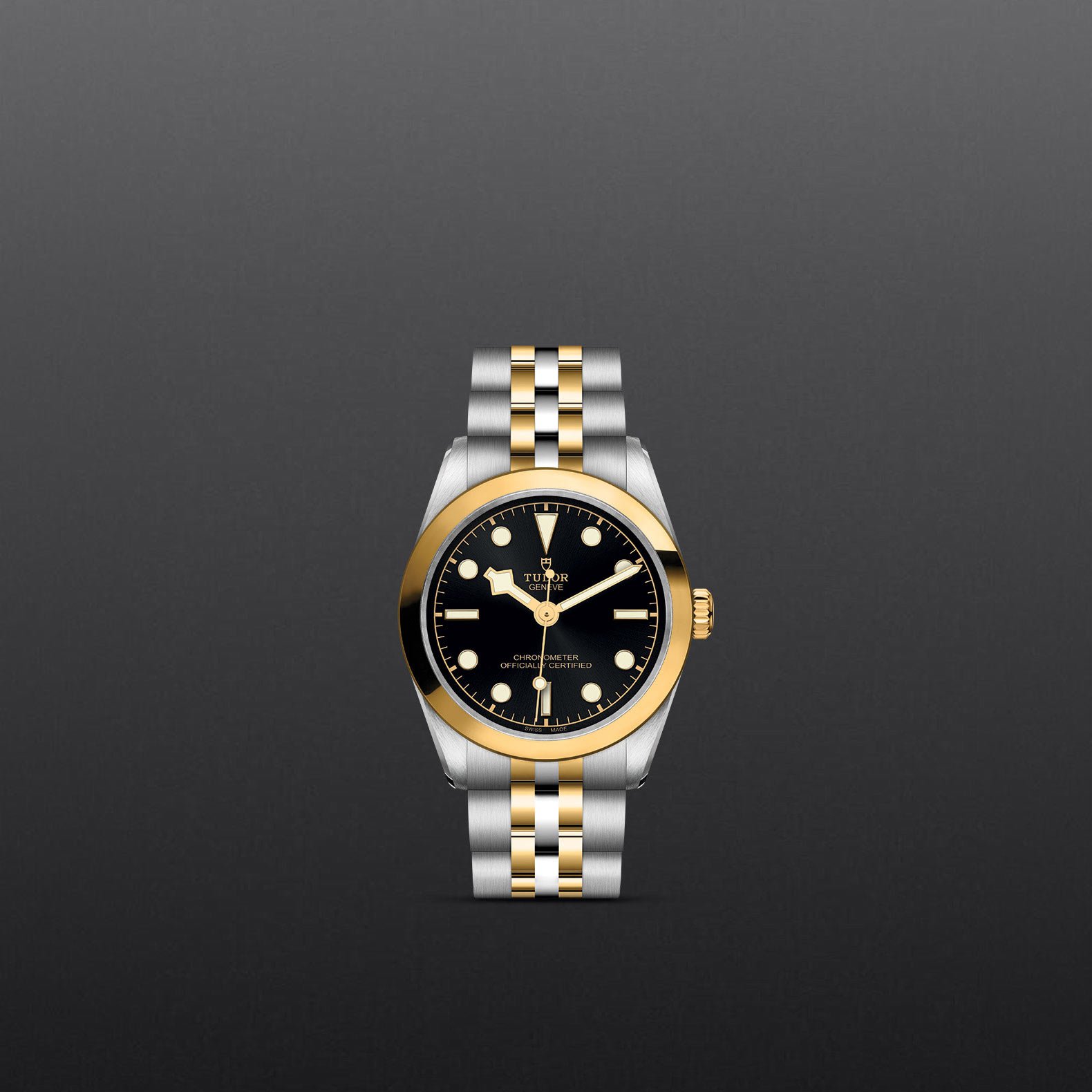 TUDOR Black Bay 31 S&G - Imagen 3