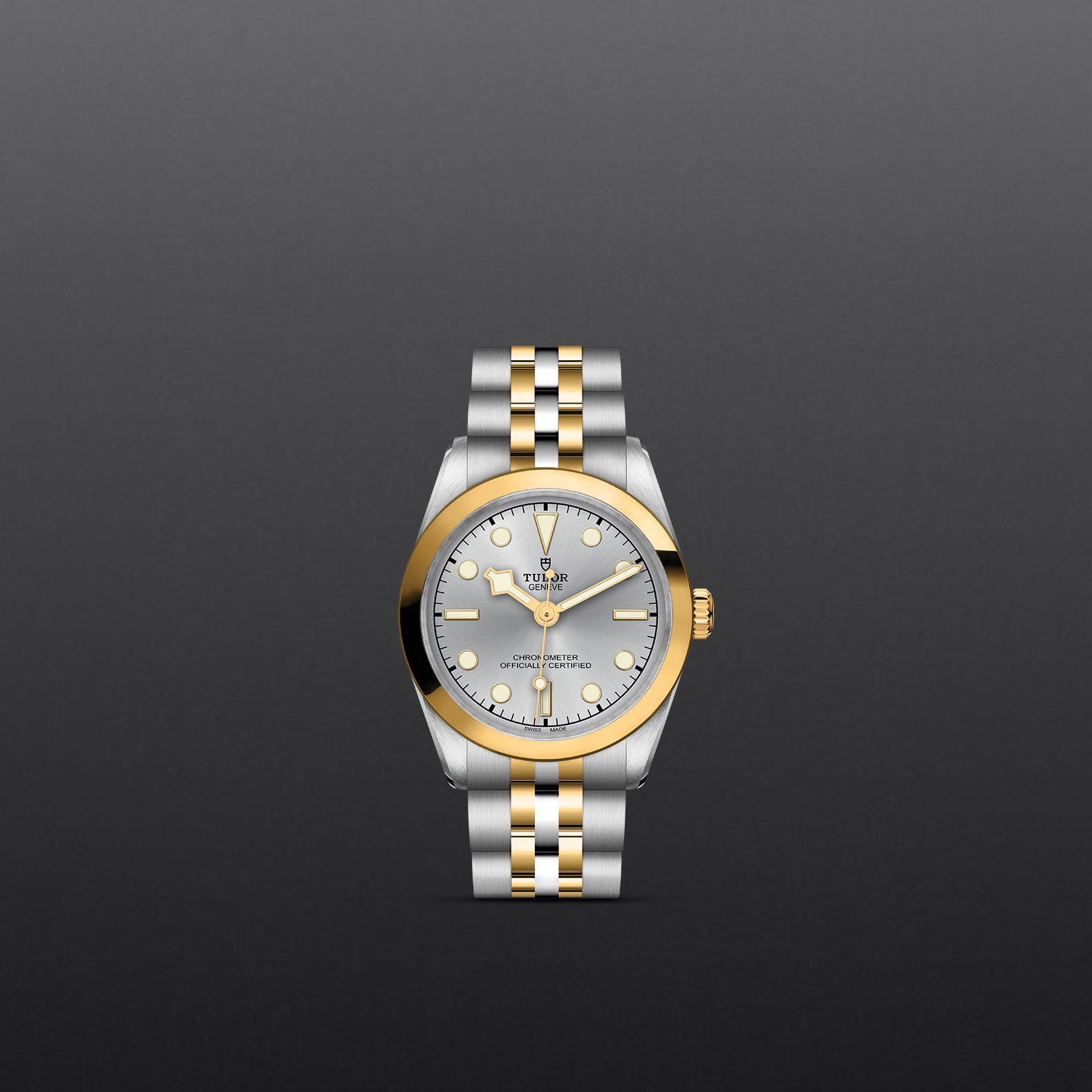 TUDOR Black Bay 31 S&G - Imagen 3