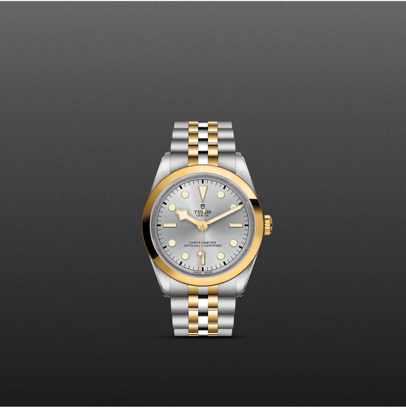 TUDOR Black Bay 36 S&G - Imagen 3