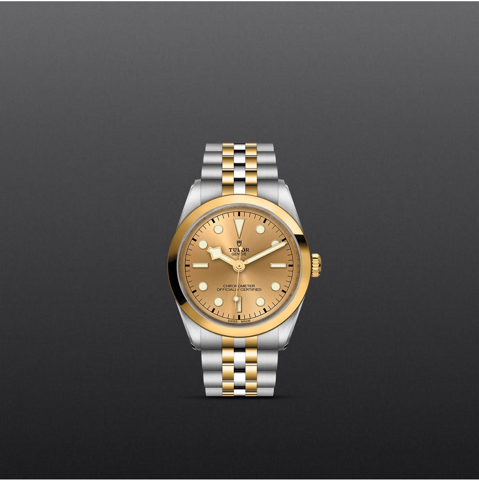 TUDOR Black Bay 36 S&G - Imagen 3