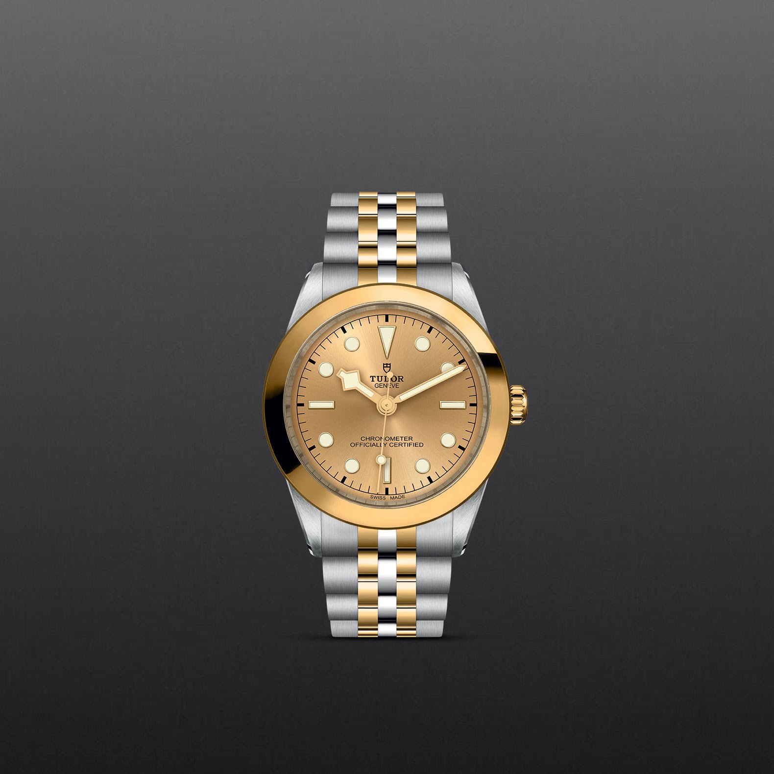 TUDOR Black Bay 39 S&G - Imagen 3