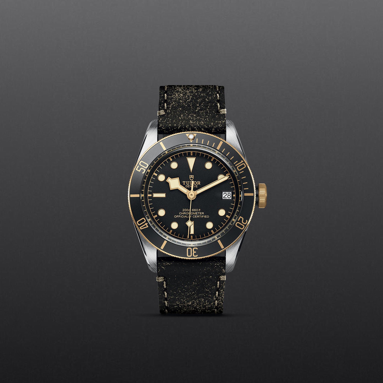 TUDOR Black Bay S&G - Imagen 3