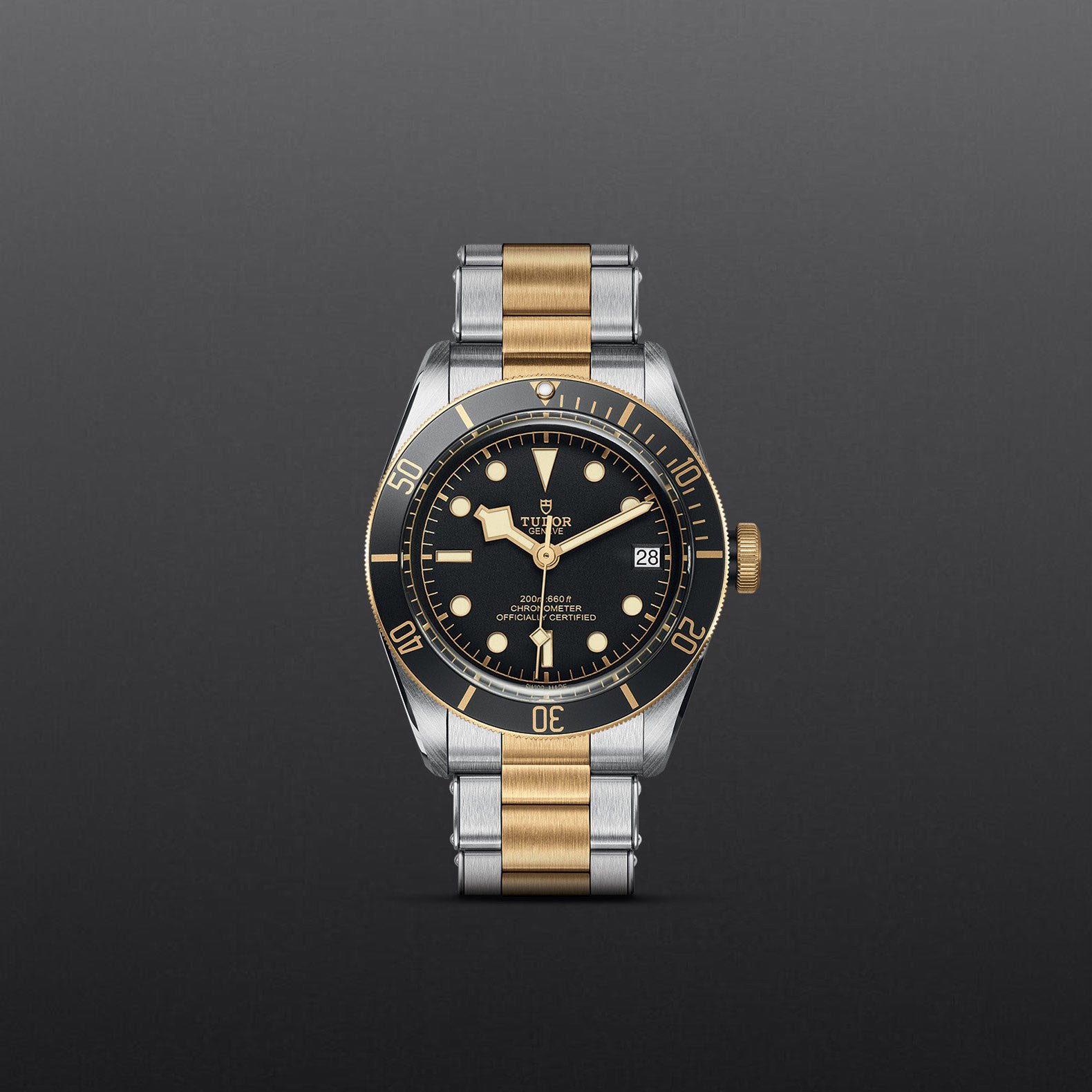 TUDOR Black Bay S&G - Imagen 3