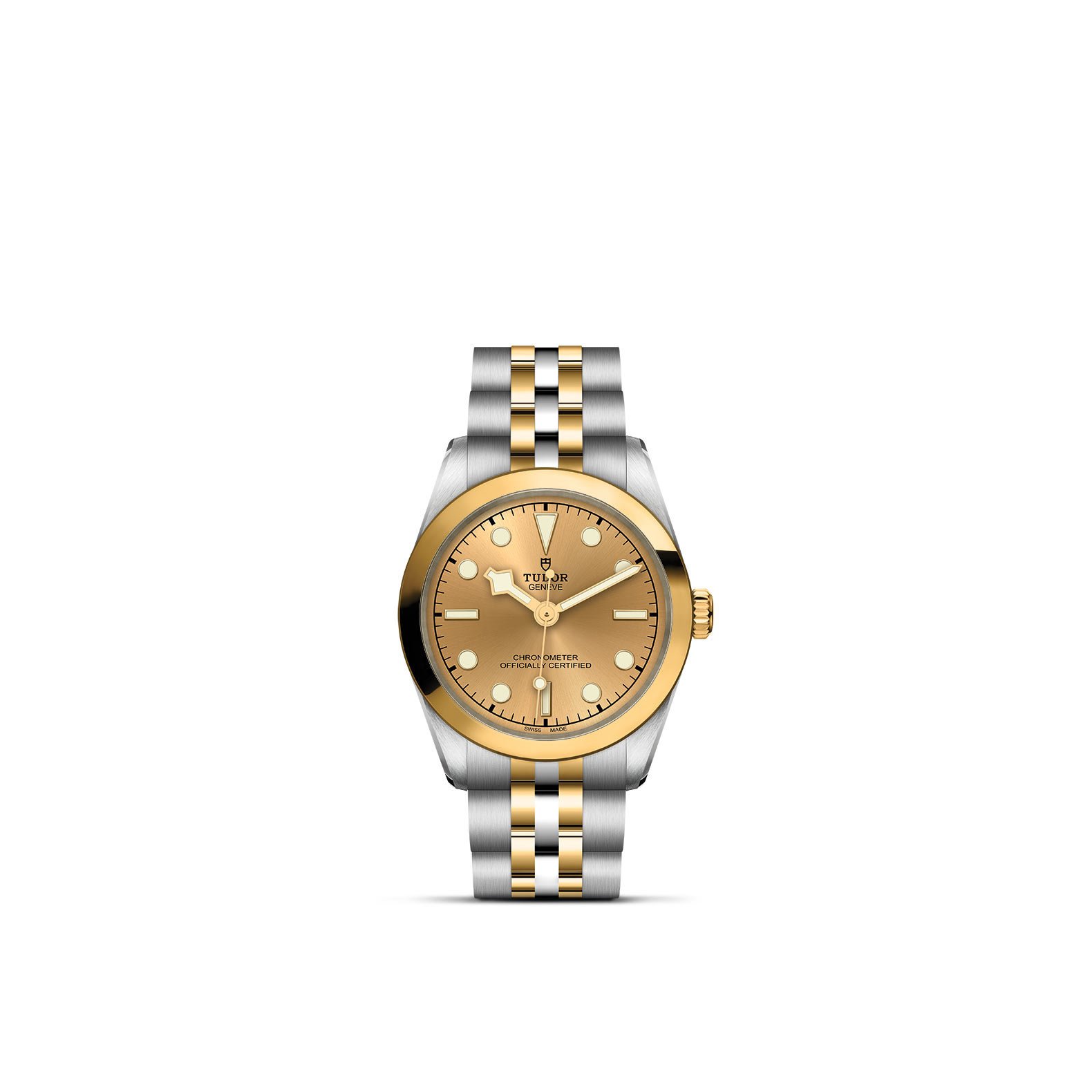 TUDOR Black Bay 31 S&G - Imagen 2