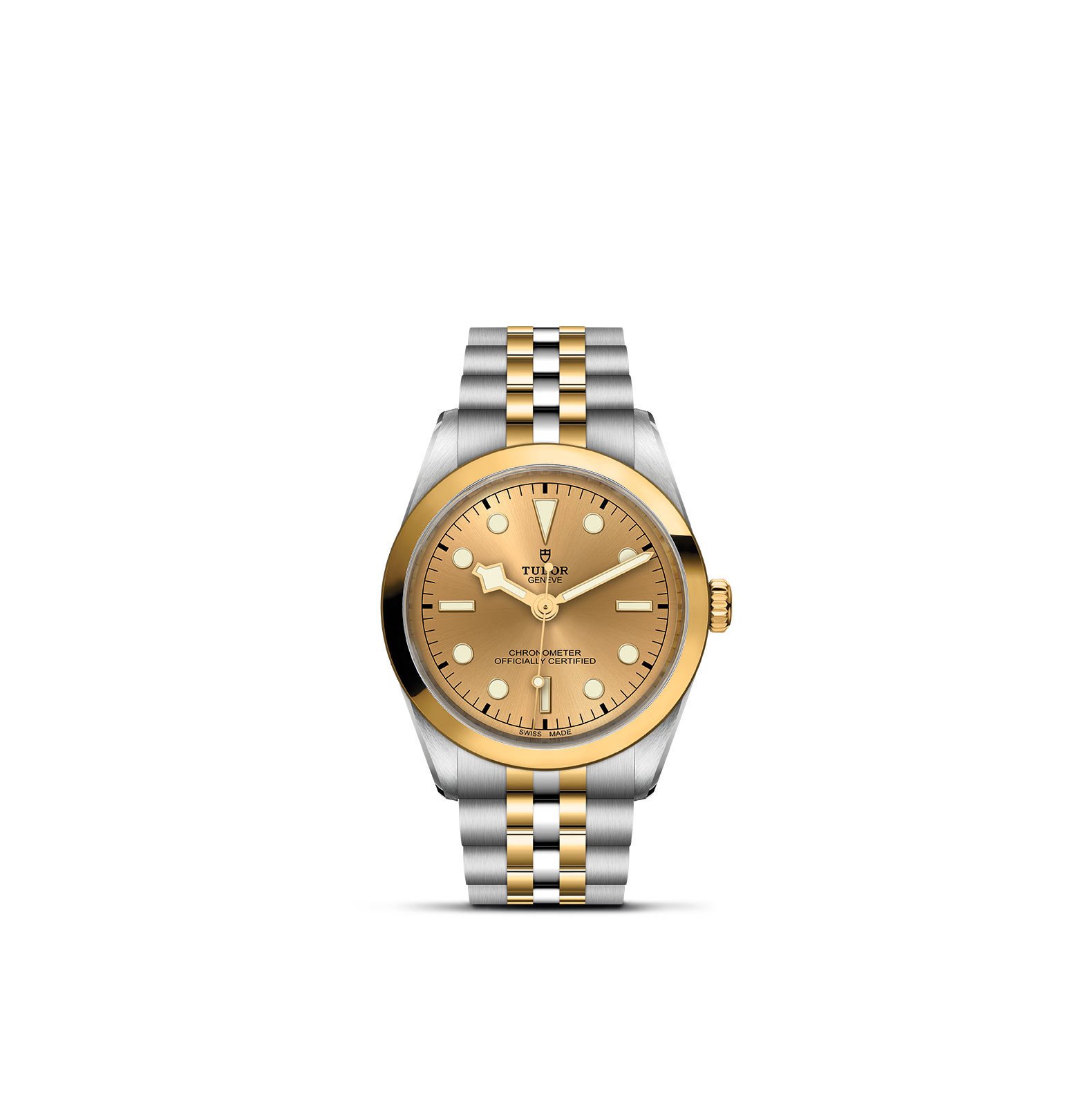 TUDOR Black Bay 36 S&G - Imagen 2