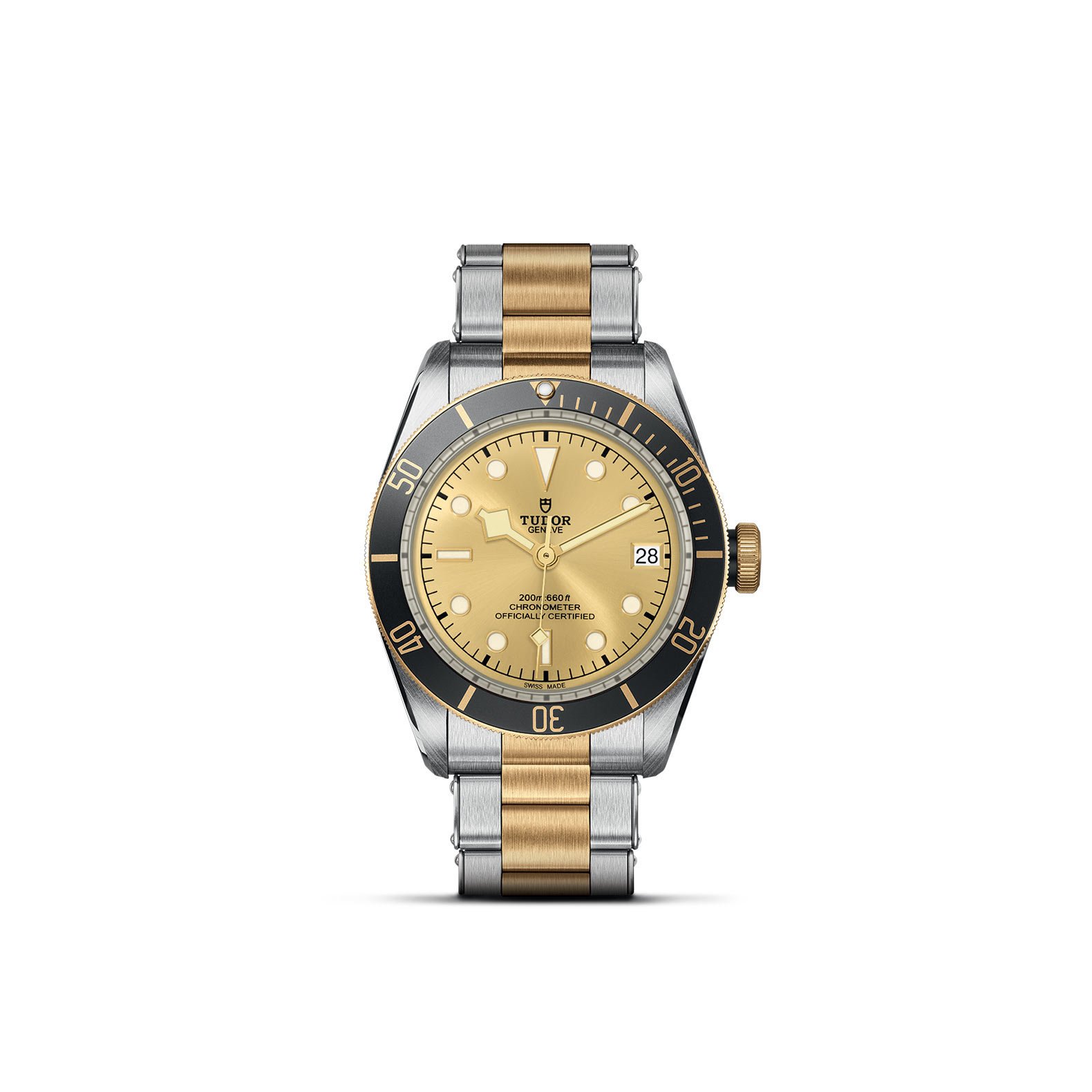 TUDOR Black Bay S&G - Imagen 2