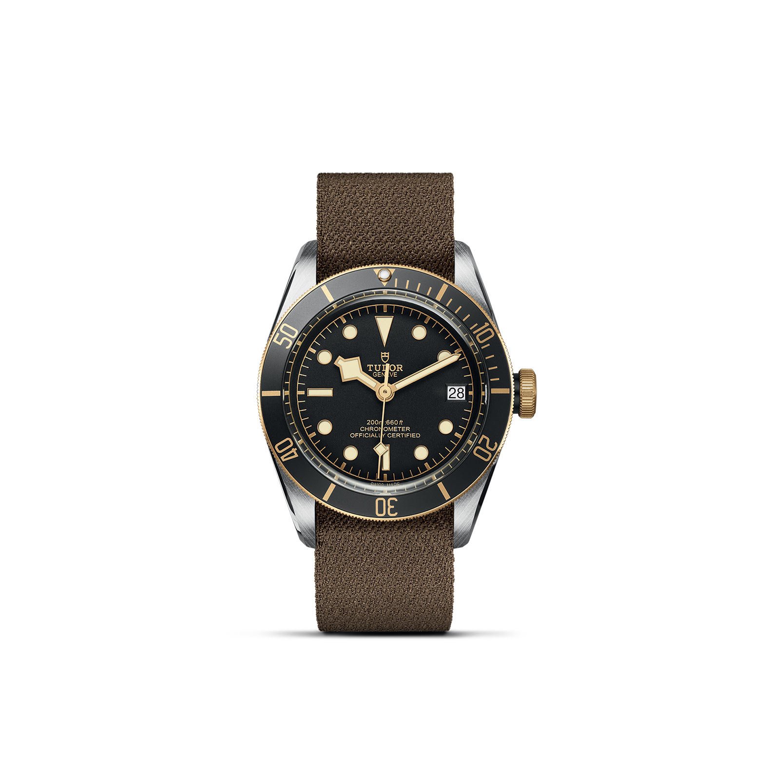 TUDOR Black Bay S&G - Imagen 2