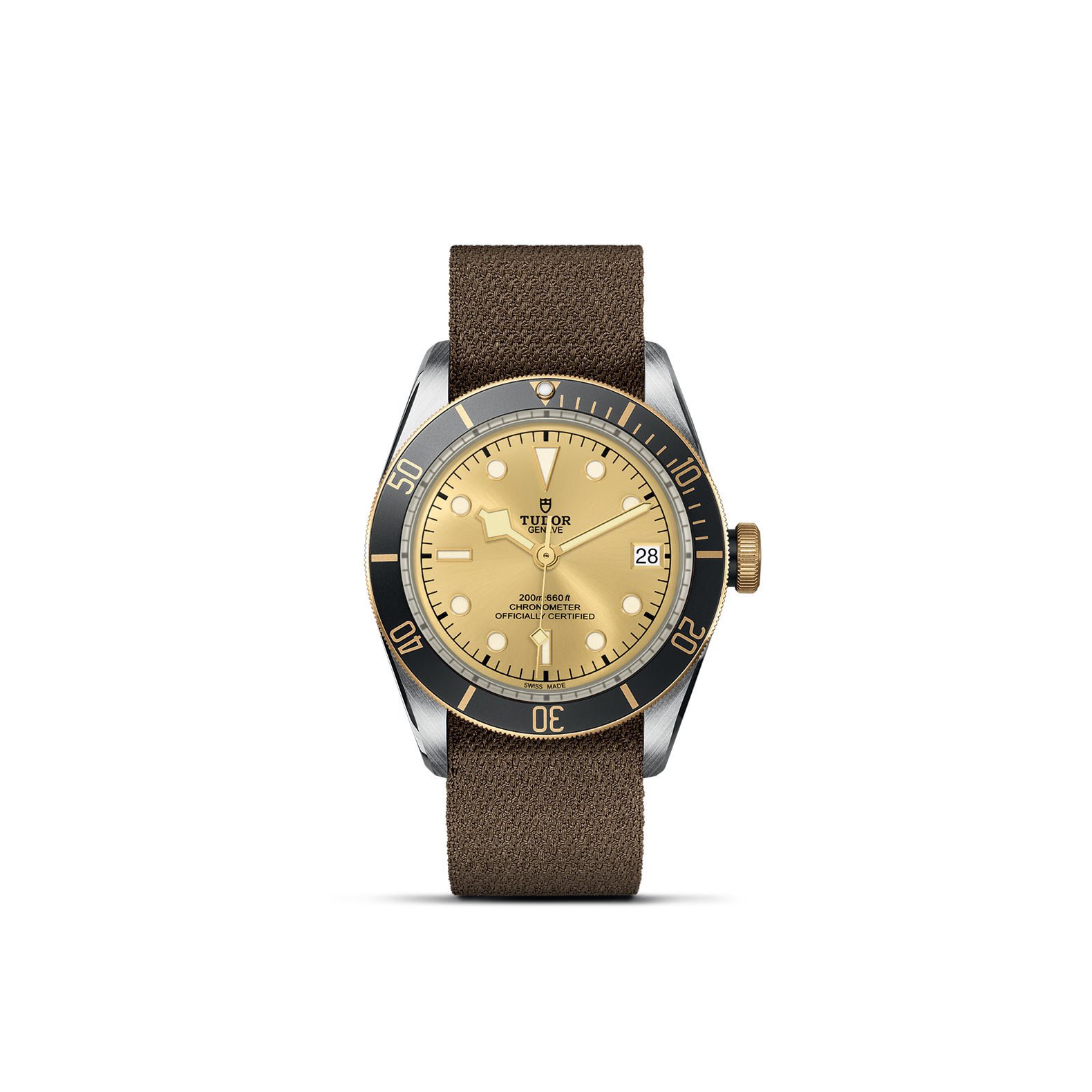 TUDOR Black Bay S&G - Imagen 2