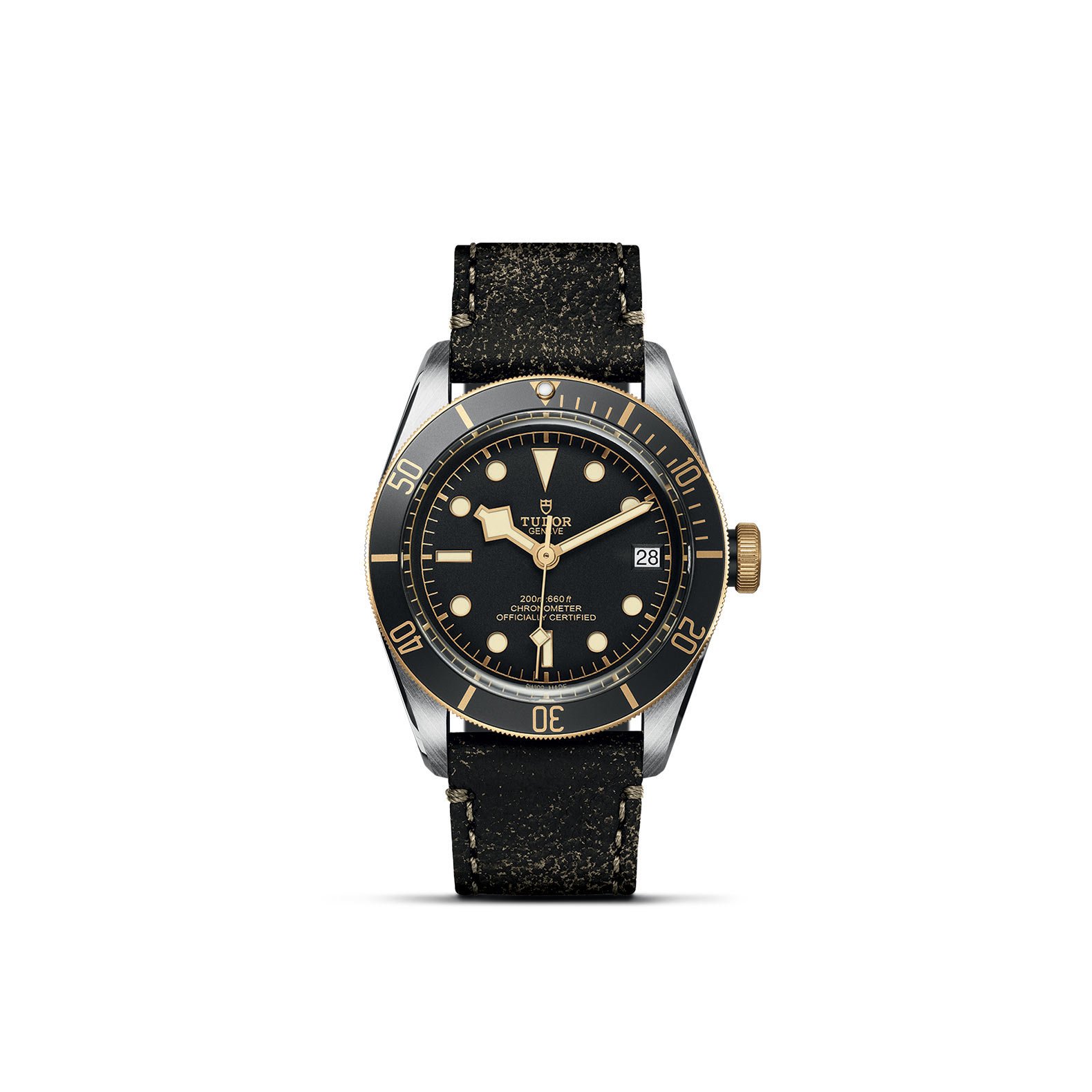 TUDOR Black Bay S&G - Imagen 2
