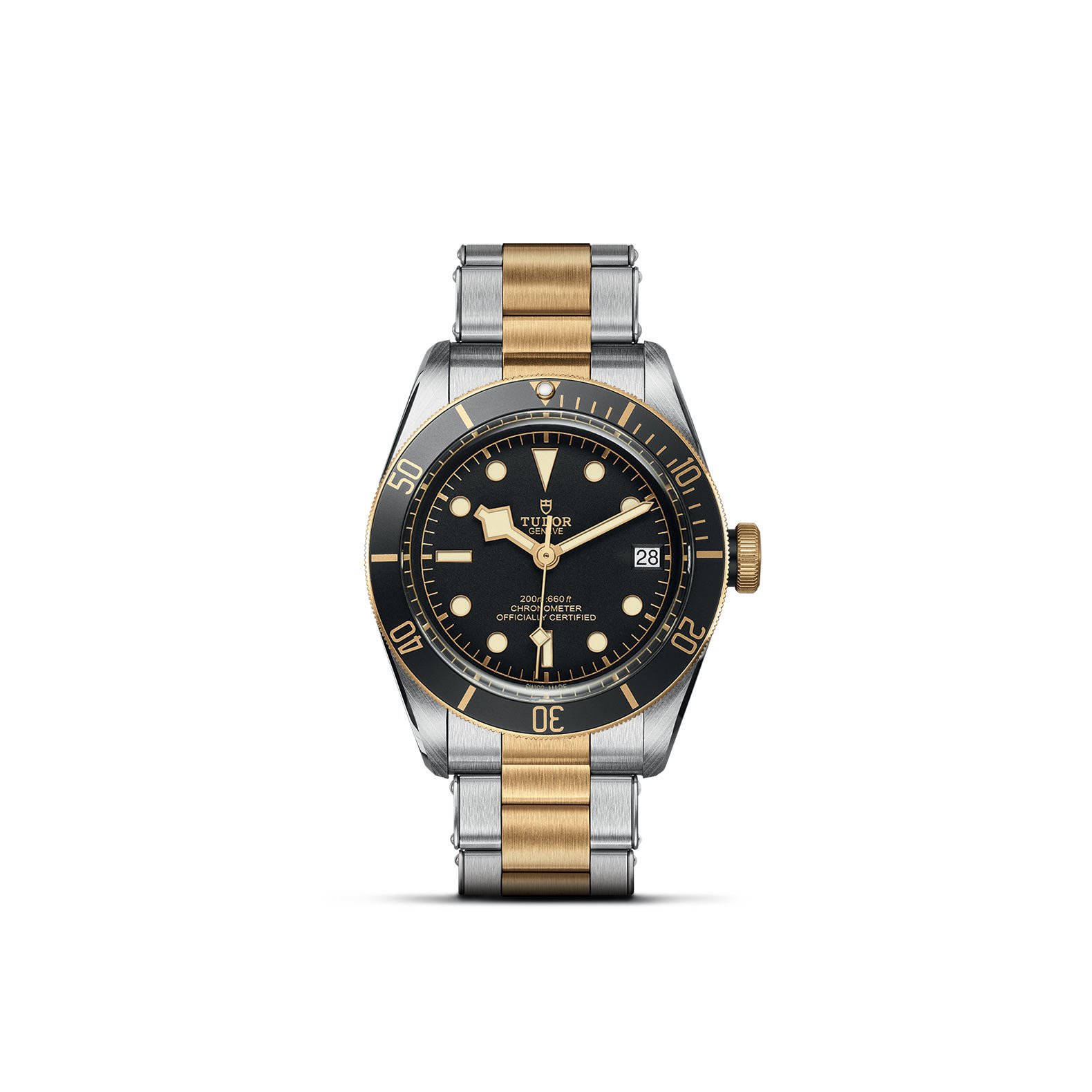 TUDOR Black Bay S&G - Imagen 2