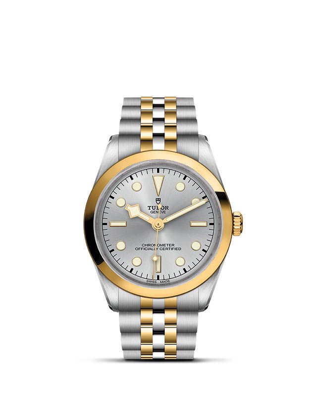 TUDOR Black Bay 36 S&G - Imagen 1