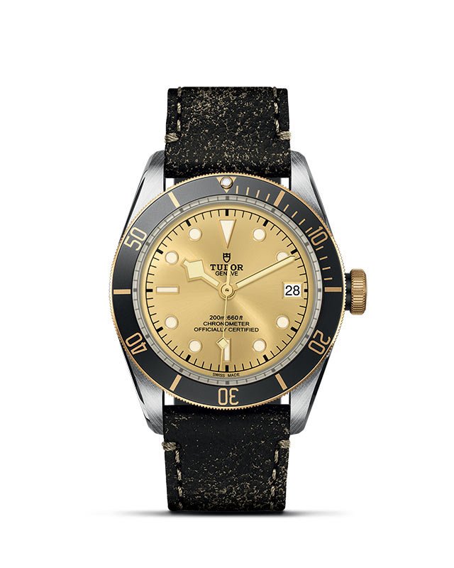 TUDOR Black Bay S&G - Imagen 1
